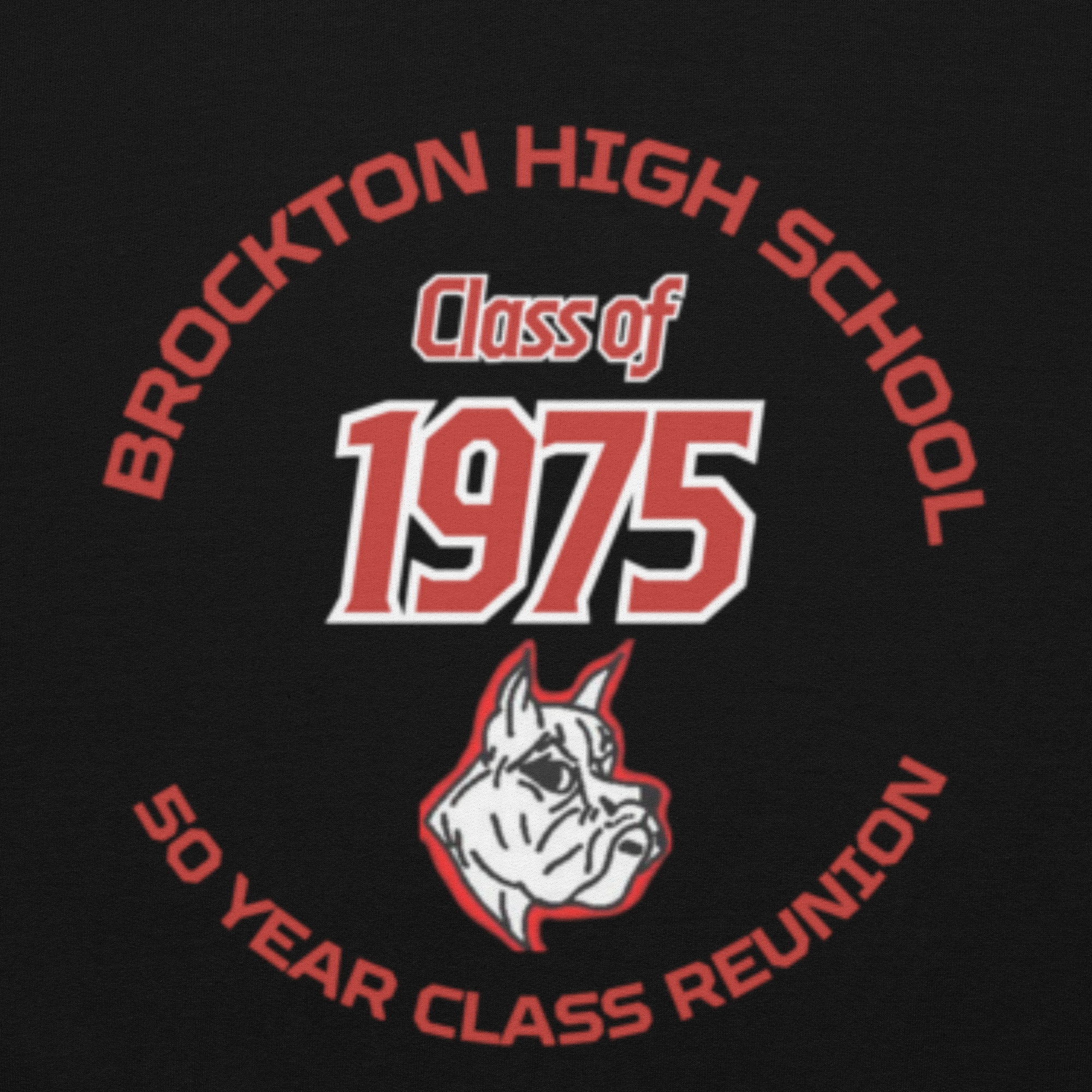 BHS Unisex Hoodie - Image 3